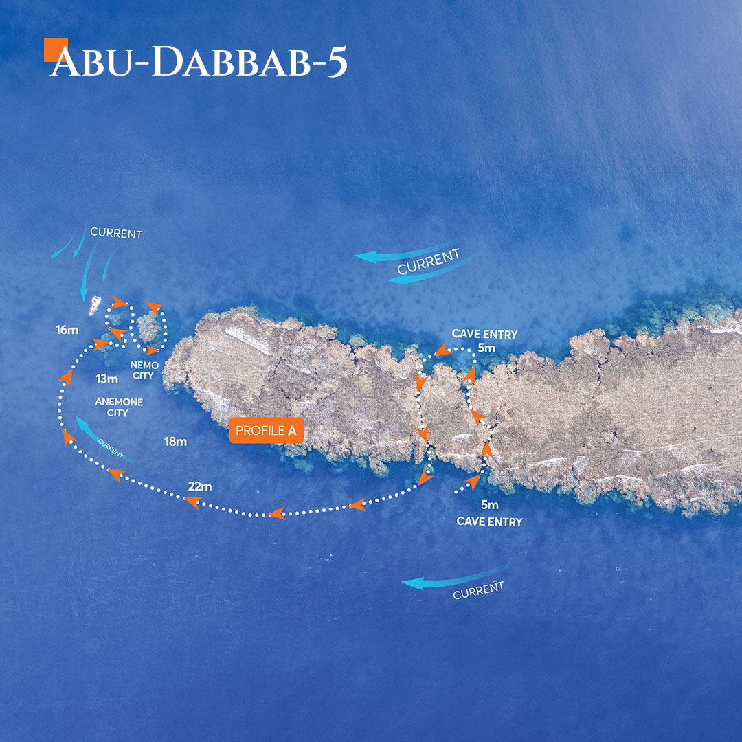 Aerial map view of Abu Dabbab dive site 5