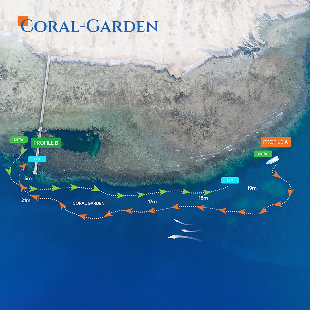 Aerial map view of Coral Garden dive site
