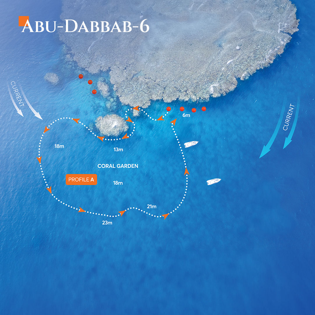 Aerial map view of Abu Dabbab dive site 6