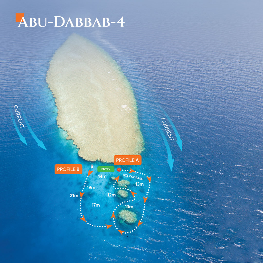 Aerial map view of Abu Dabbab dive site 4