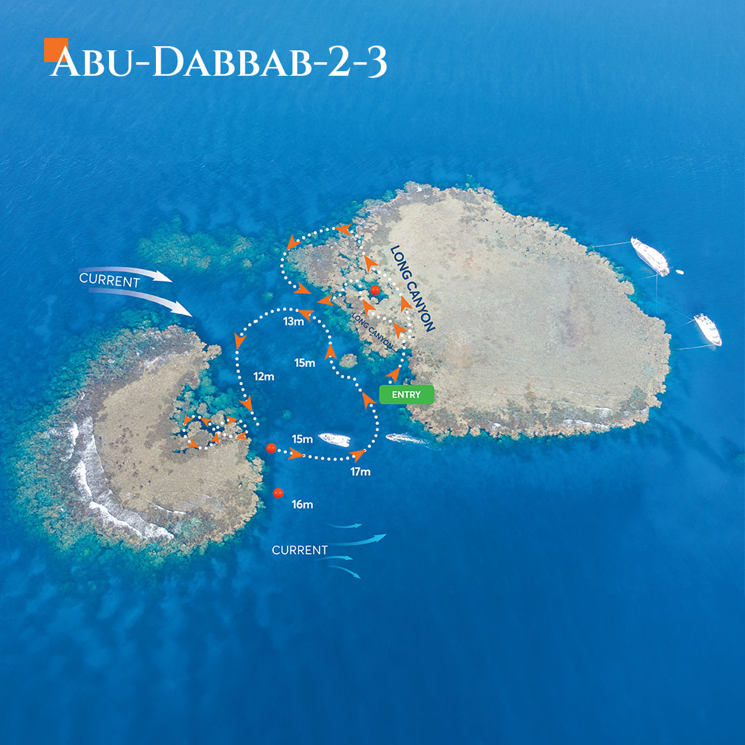 Aerial map view of Abu Dabbab dive sites 2 and 3