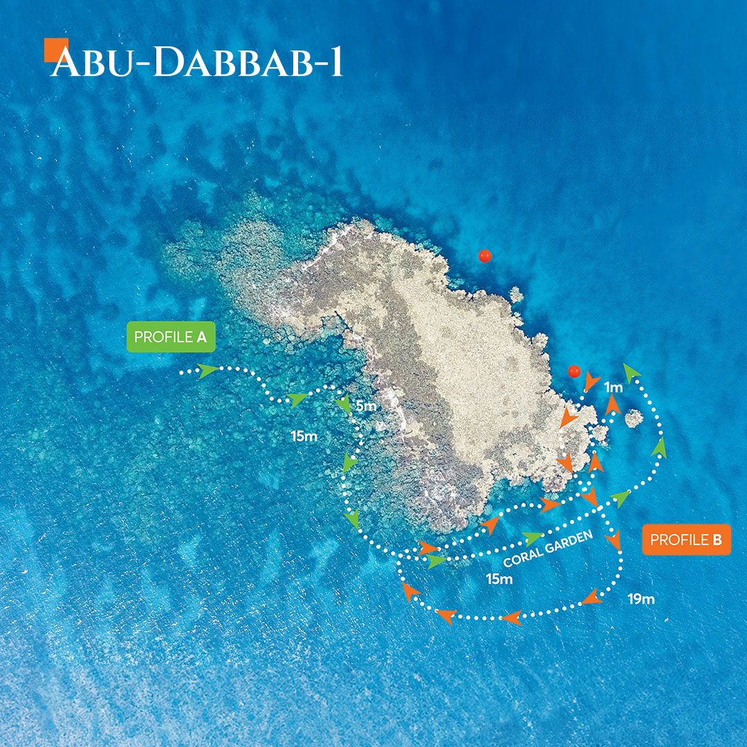 Aerial map view of Abu Dabbab dive site 1