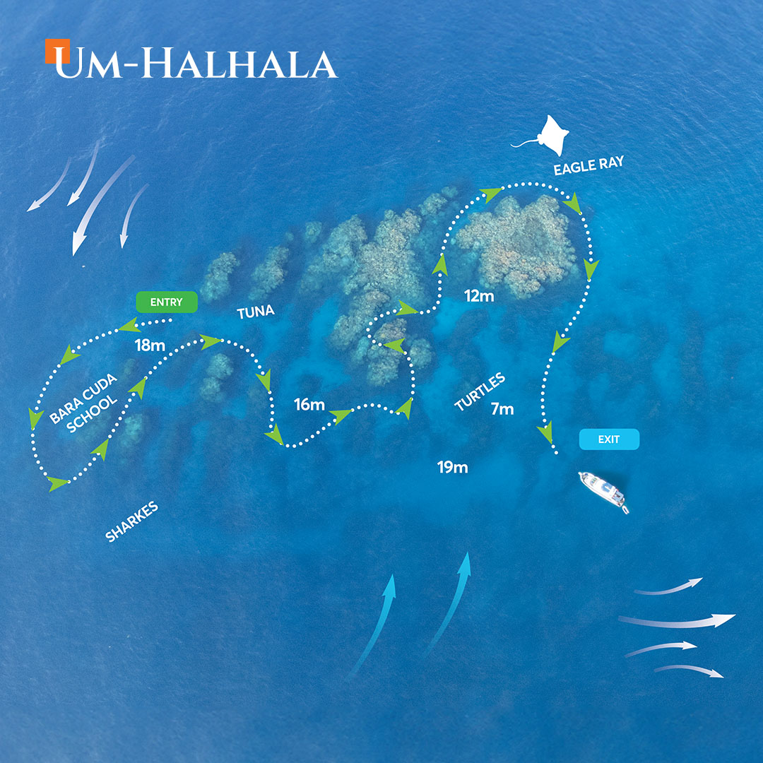 Aerial map view of Um Halhala dive site